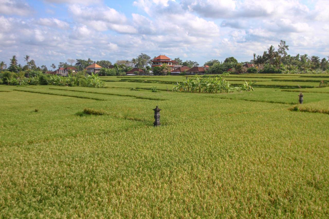 Kubu Sari Ubud Exteriér fotografie