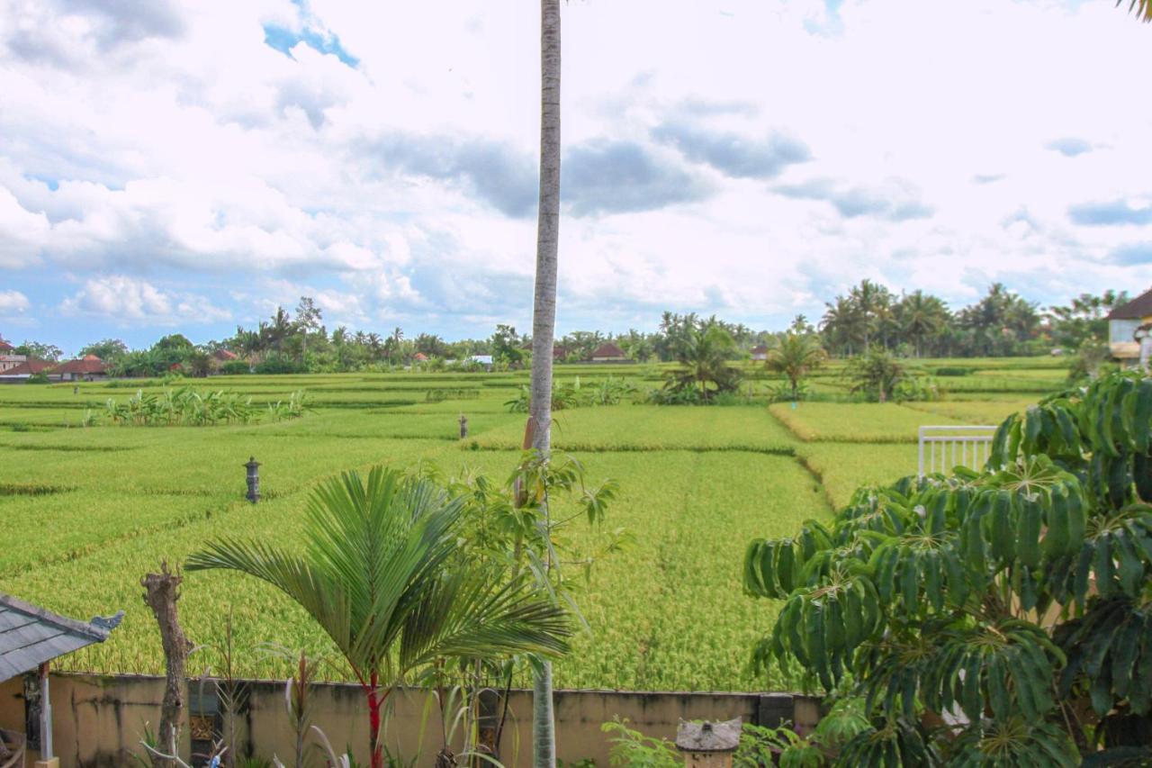Kubu Sari Ubud Exteriér fotografie