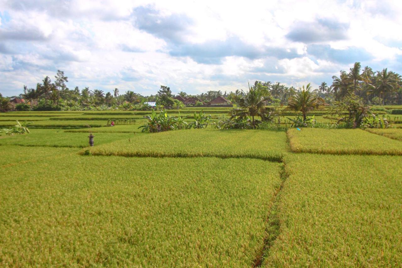 Kubu Sari Ubud Exteriér fotografie