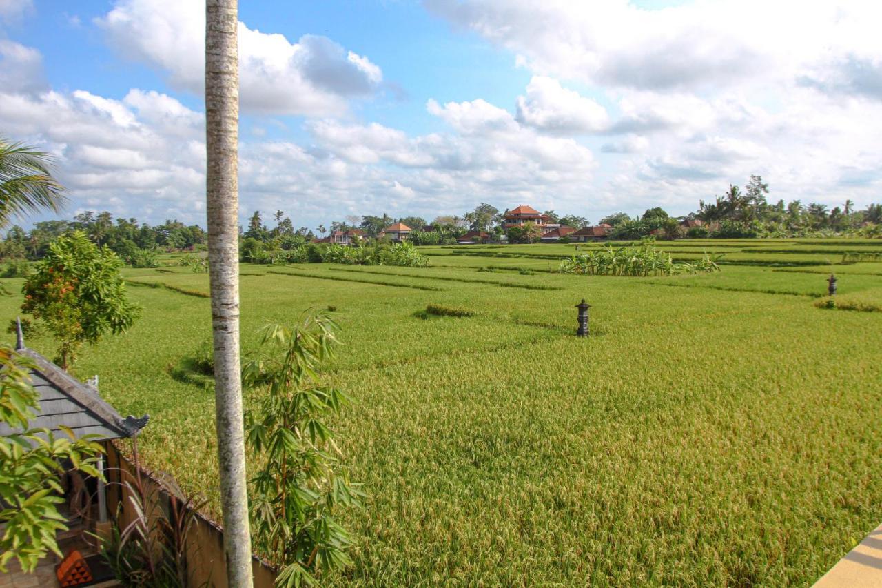 Kubu Sari Ubud Exteriér fotografie